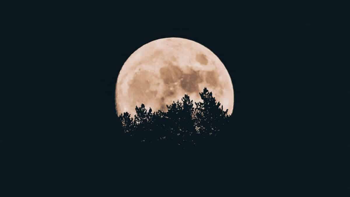 5 Super Common Ways To Say Goodnight In Spanish Tell Me In Spanish