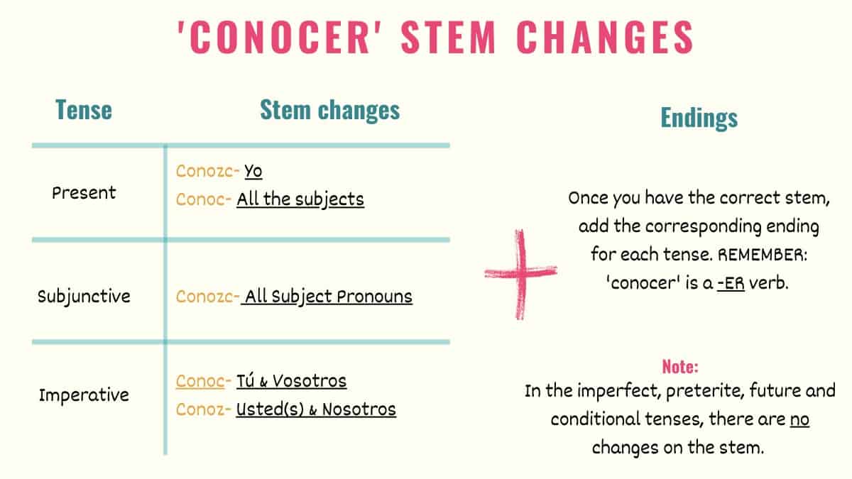 graphic explaining conocer stem changes in spanish