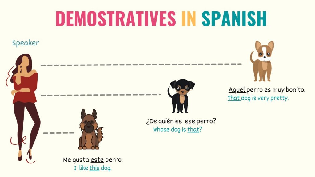 graphic showing what demonstrative adjectives and pronouns are