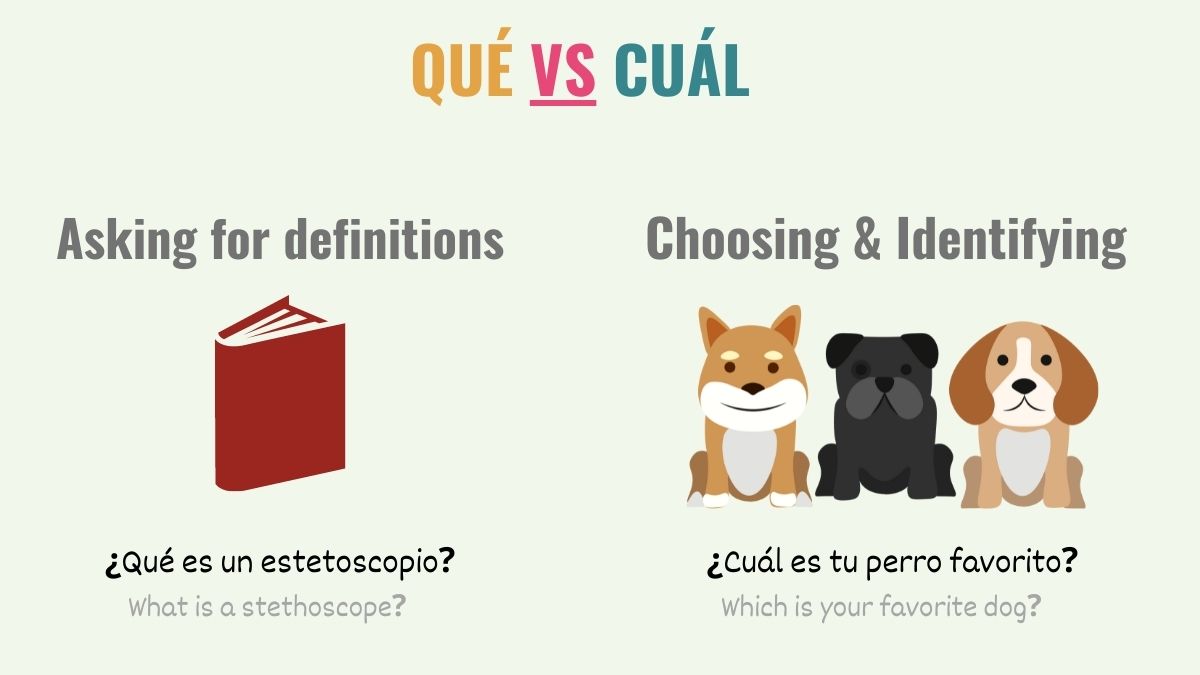 graphic showing the difference between que and cual