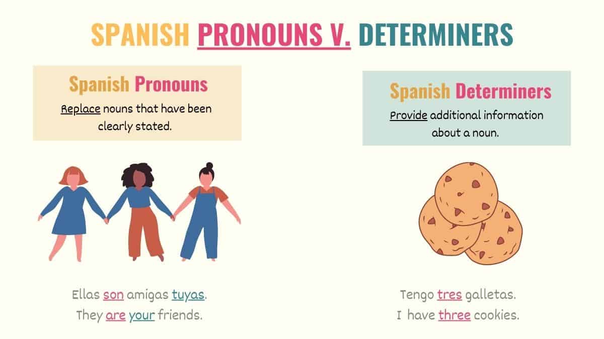 graphic showing the difference between pronouns and determiners in spanish