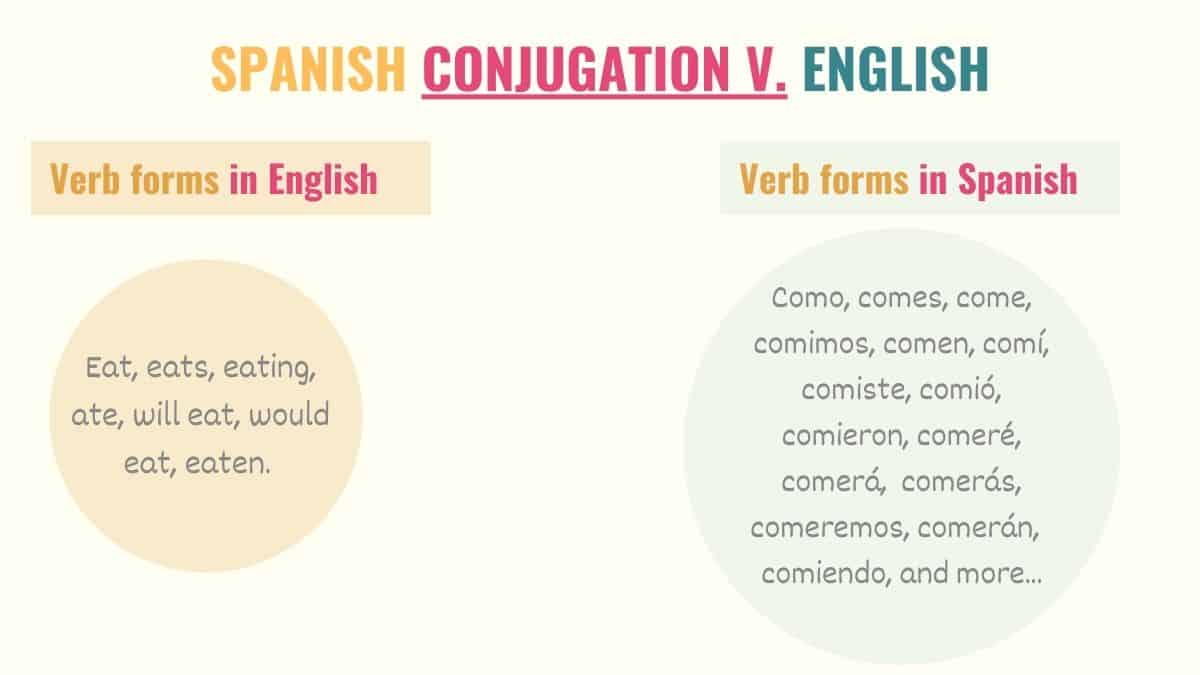 graphic showing the different conjugations in English and Spanish