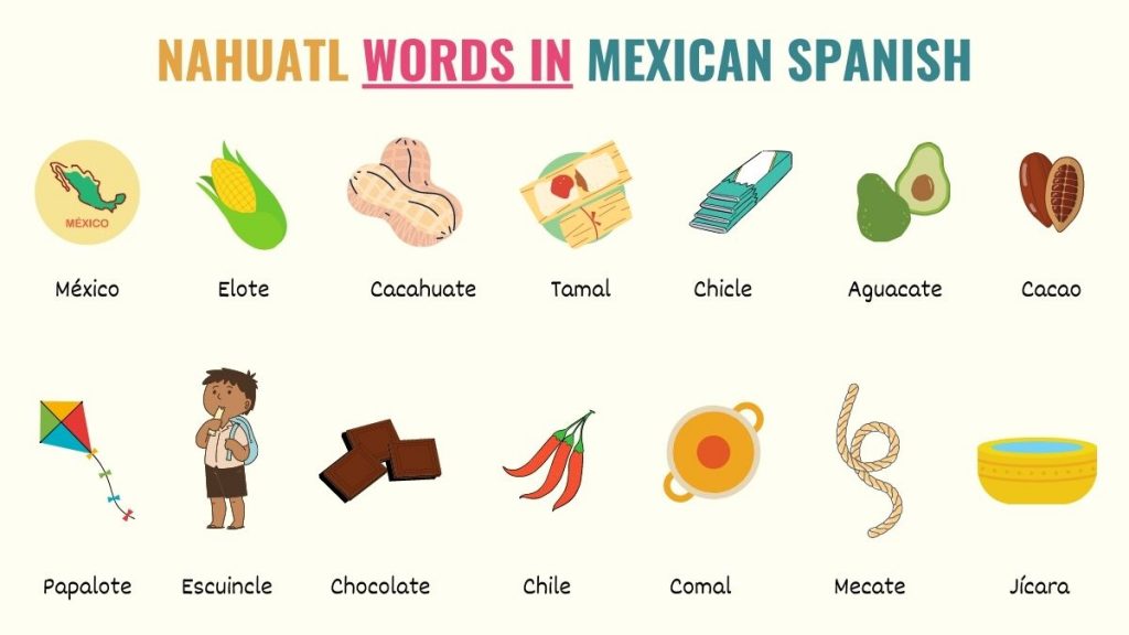 graphic showing examples of nahuatl words in mexican spanish