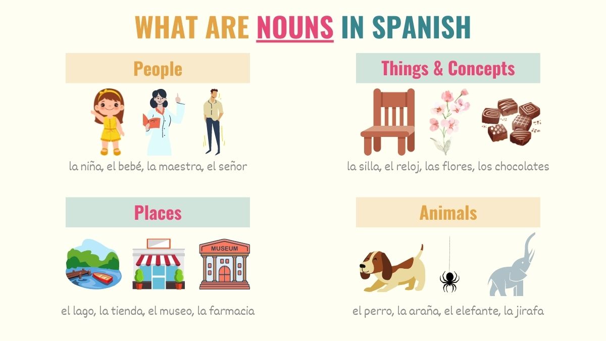 graphic showing what nouns are in spanish