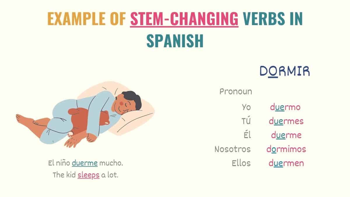 graphic showing the conjugation of dormir 