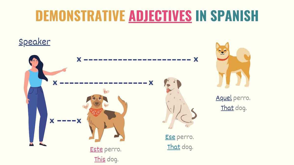 graphic explaining how demonstrative adjectives in spanish work