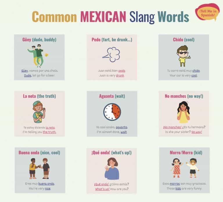 essay mexican slang