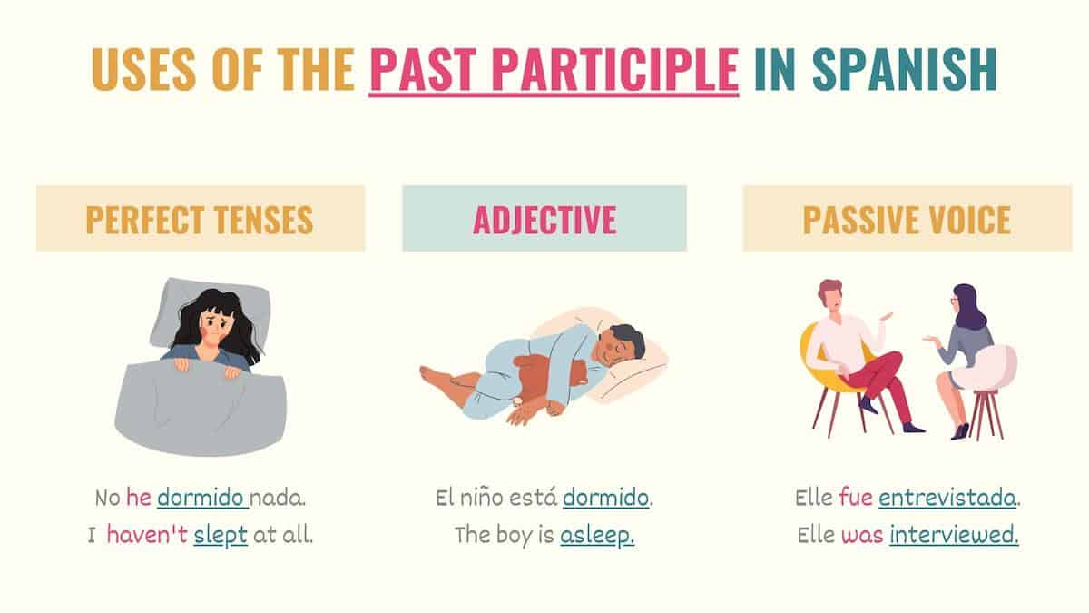 Past Participle, Meanings and Different Forms of Past Participles