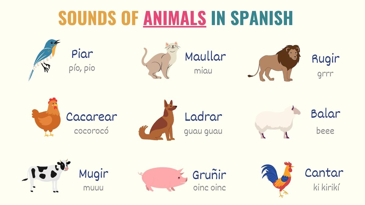 graphic showing the sounds of animals in spanish