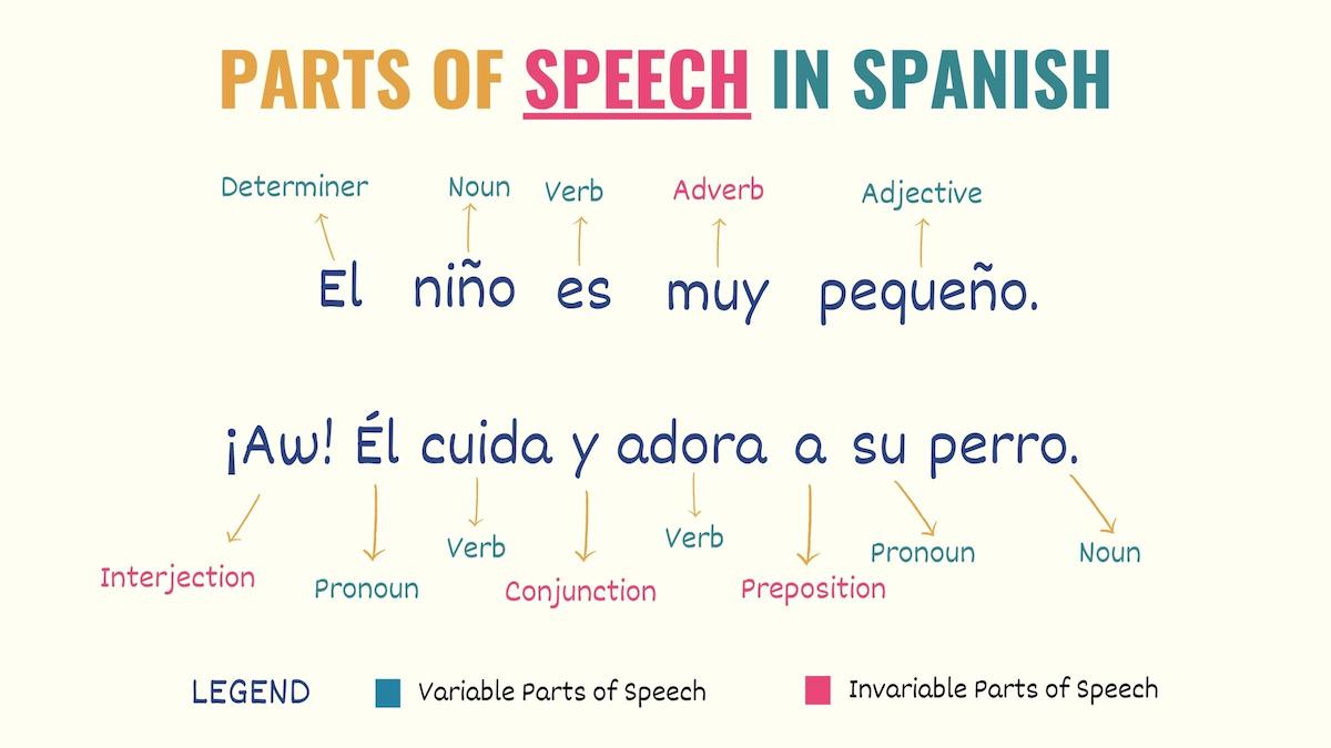 chart showing the parts of a speech in spanish