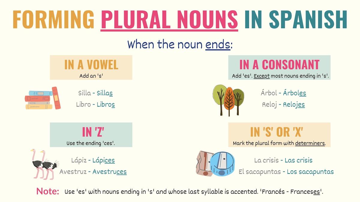 graphic showing the endings for plural words in spanish