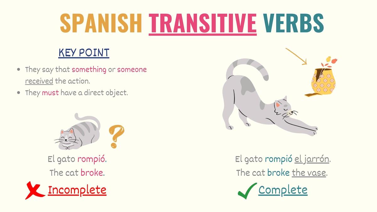 graphic explaining what a transitive verb is