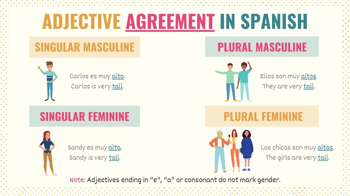 chart with examples of adjective agreement in spanish