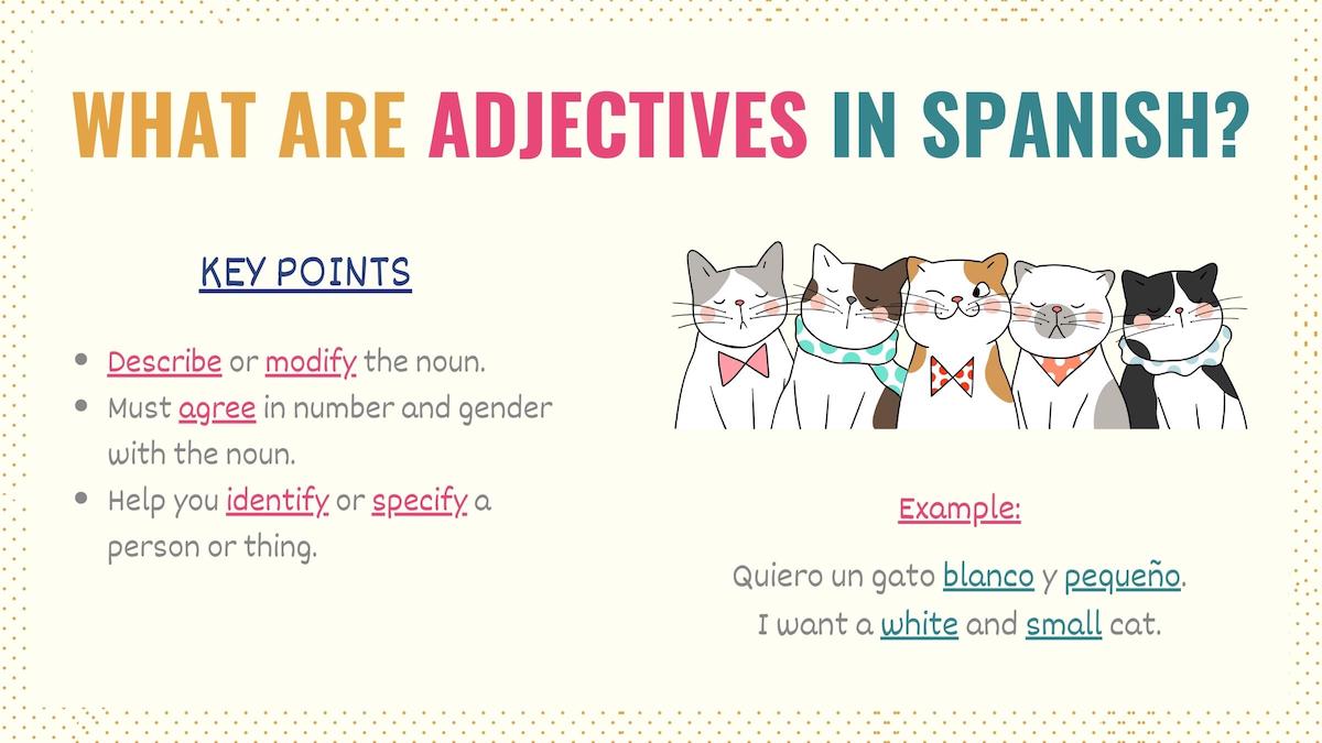 graphic explaining what adjectives are and how to use them in spanish