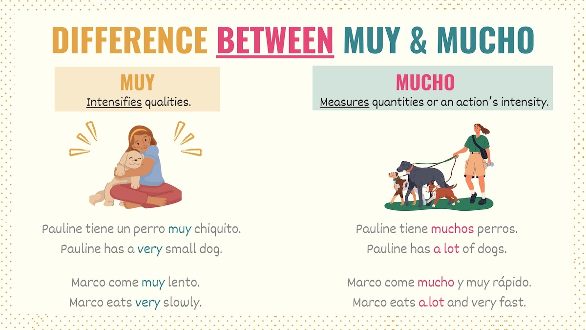 Graphic contrasting the differences of muy and mucho in Spanish
